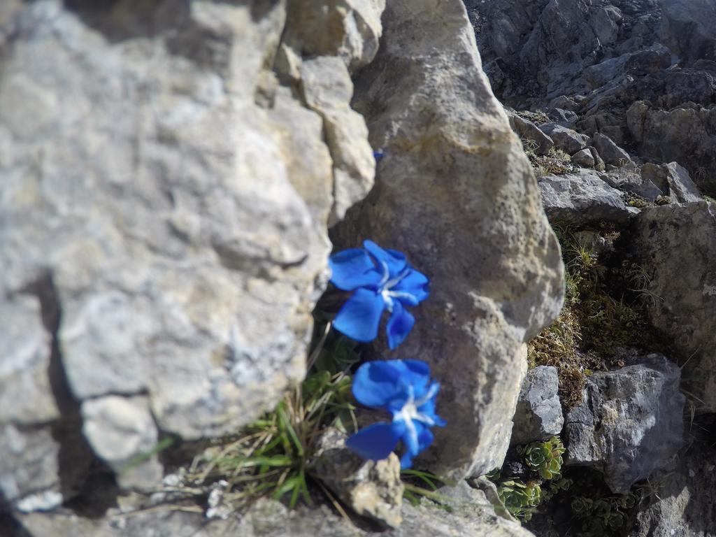 Pension Am Rain Neustift im Stubaital Exterior foto